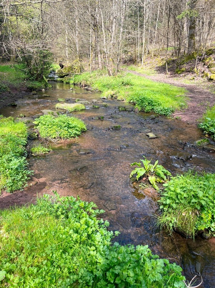 23-04-30 10-43-24 5229.jpeg